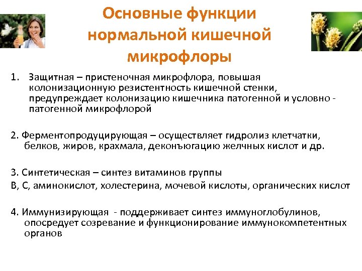Основные функции нормальной кишечной микрофлоры 1. Защитная – пристеночная микрофлора, повышая колонизационную резистентность кишечной