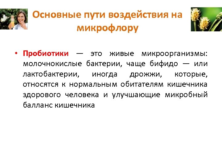 Основные пути воздействия на микрофлору • Пробиотики — это живые микроорганизмы: молочнокислые бактерии, чаще