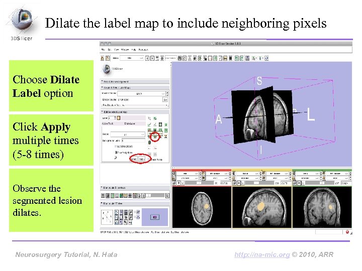 Dilate the label map to include neighboring pixels Choose Dilate Label option Click Apply