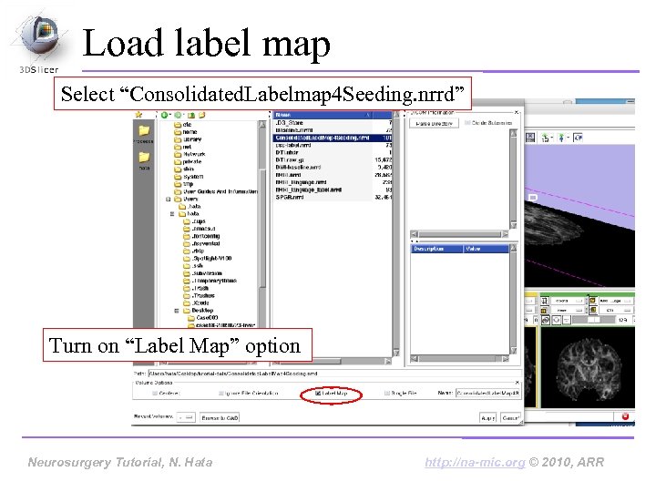 Load label map Select “Consolidated. Labelmap 4 Seeding. nrrd” Turn on “Label Map” option