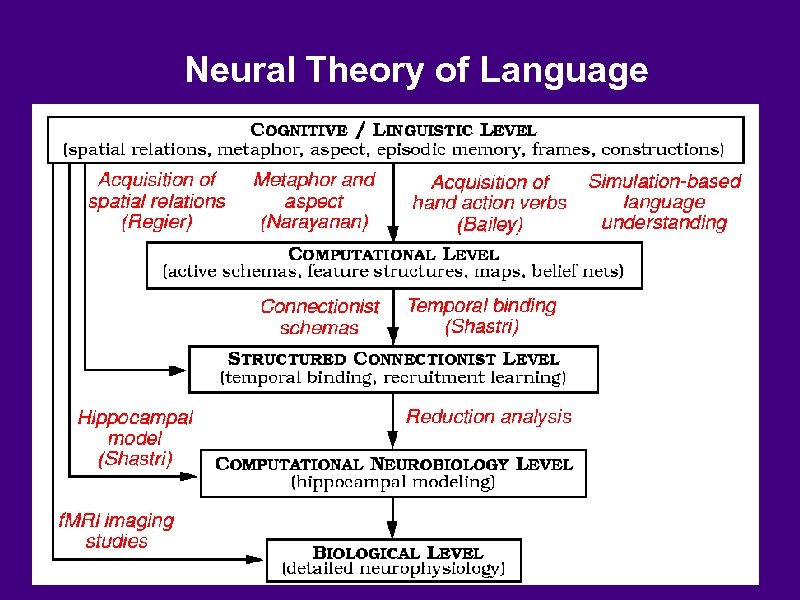 Neural Theory of Language 