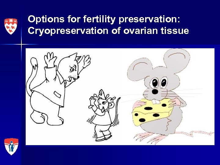 Options for fertility preservation: Cryopreservation of ovarian tissue • Culture and IVM of primordial