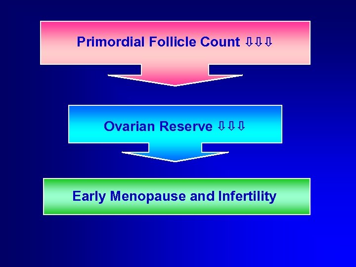 Primordial Follicle Count ⇩⇩⇩ Ovarian Reserve ⇩⇩⇩ Early Menopause and Infertility 