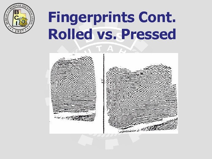 Fingerprints Cont. Rolled vs. Pressed 