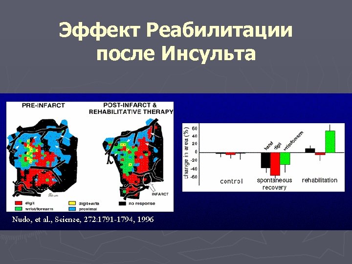 Эффект Реабилитации после Инсульта 