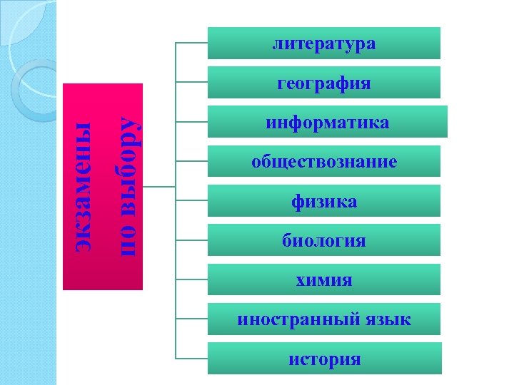 литература экзамены по выбору география информатика обществознание физика биология химия иностранный язык история 