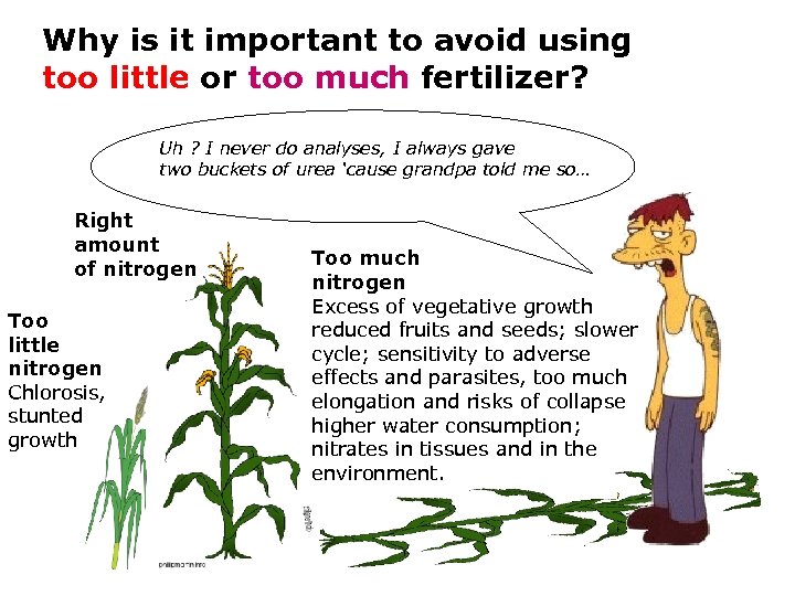 Why is it important to avoid using too little or too much fertilizer? Uh