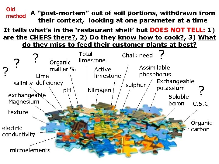 Old A “post-mortem” out of soil portions, withdrawn from method their context, looking at