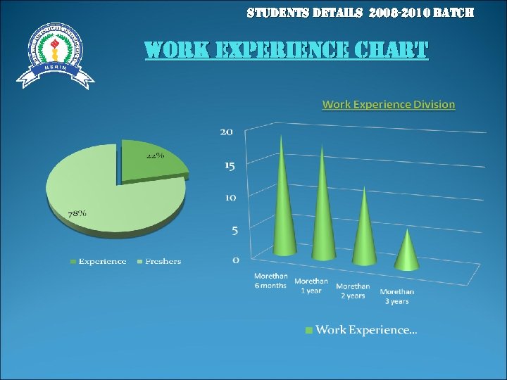 students details 2008 -2010 batch Work experience chart 