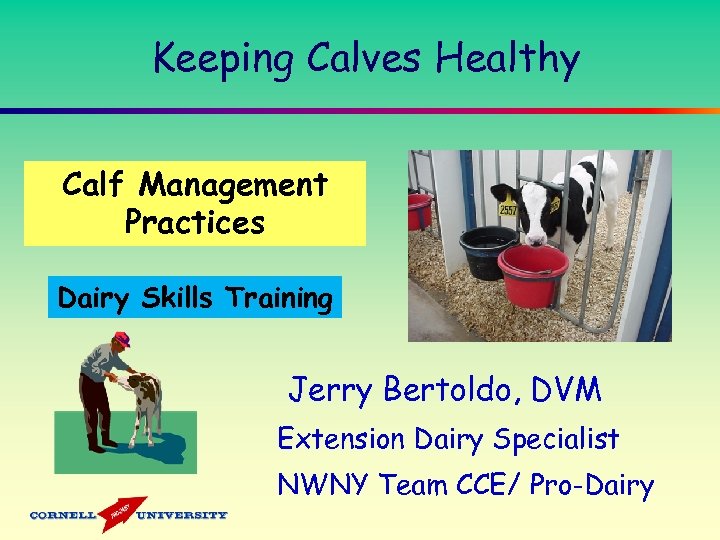 Keeping Calves Healthy Calf Management Practices Dairy Skills Training Jerry Bertoldo, DVM Extension Dairy