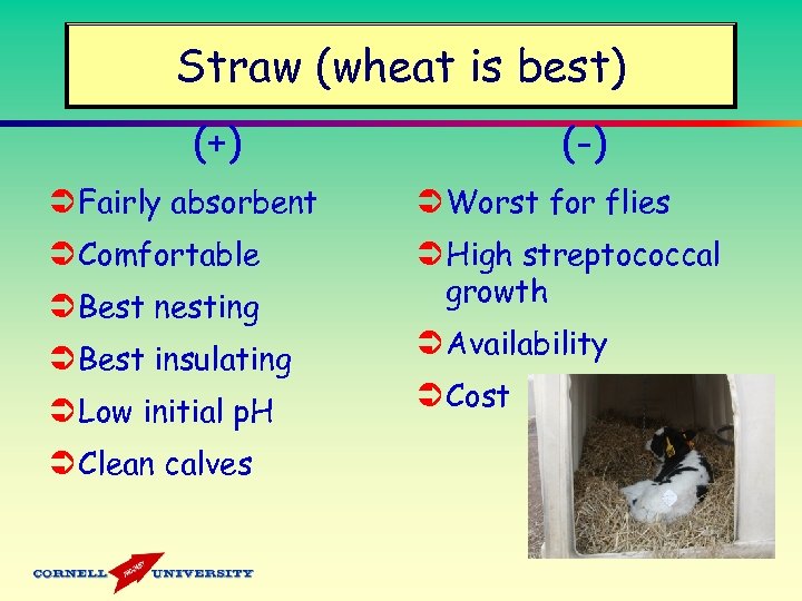 Straw (wheat is best) (-) (+) Ü Fairly absorbent Ü Worst for flies Ü