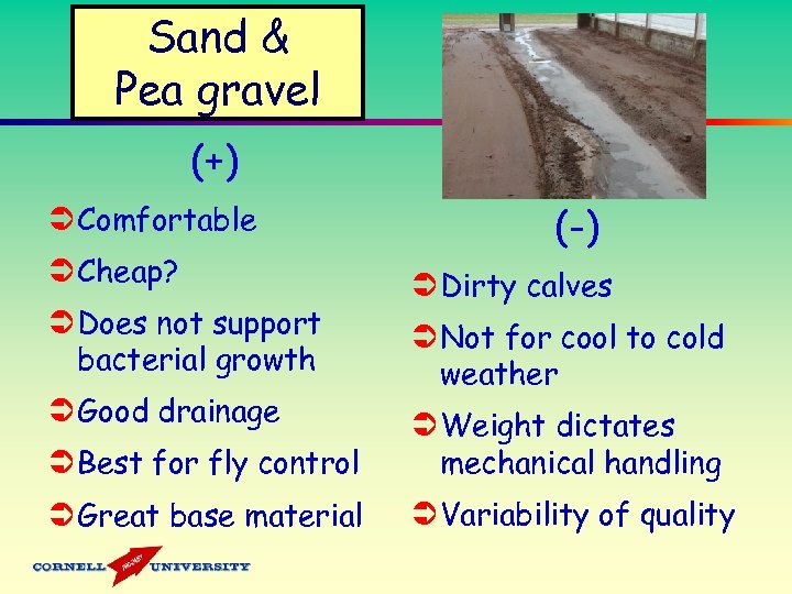 Sand & Pea gravel (+) Ü Comfortable Ü Cheap? Ü Does not support bacterial
