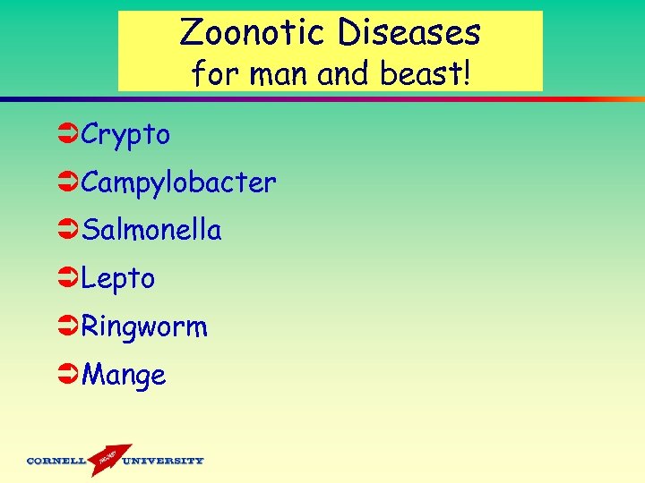 Zoonotic Diseases for man and beast! ÜCrypto ÜCampylobacter ÜSalmonella ÜLepto ÜRingworm ÜMange 