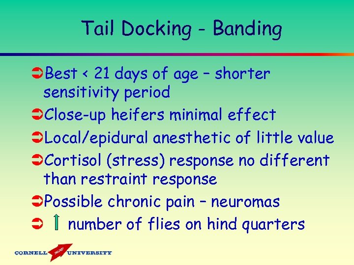 Tail Docking - Banding ÜBest < 21 days of age – shorter sensitivity period
