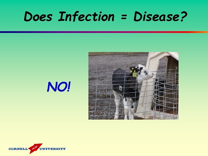Does Infection = Disease? NO! 