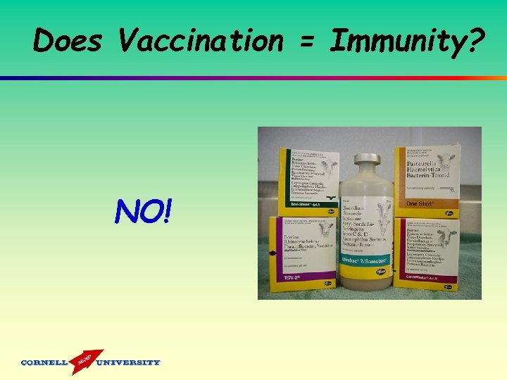 Does Vaccination = Immunity? NO! 