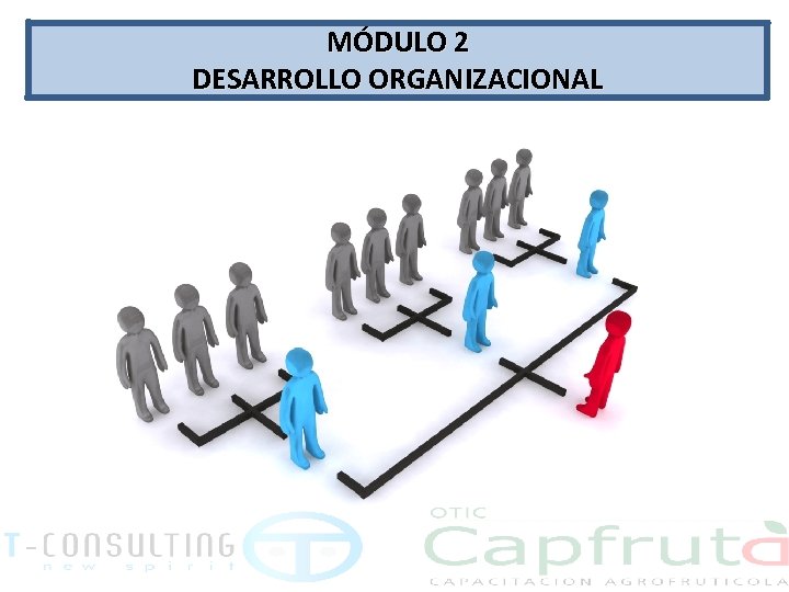 MÓDULO 2 DESARROLLO ORGANIZACIONAL 