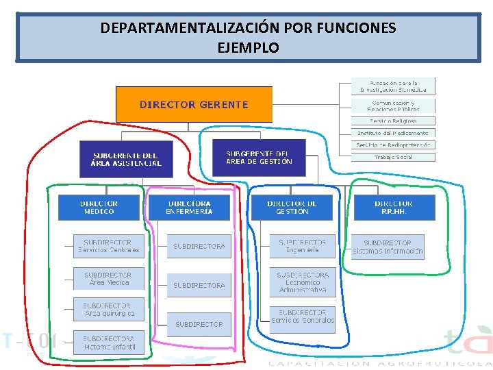 DEPARTAMENTALIZACIÓN POR FUNCIONES EJEMPLO 