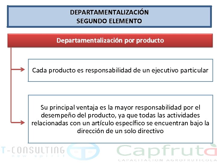 DEPARTAMENTALIZACIÓN SEGUNDO ELEMENTO Departamentalización por producto Cada producto es responsabilidad de un ejecutivo particular