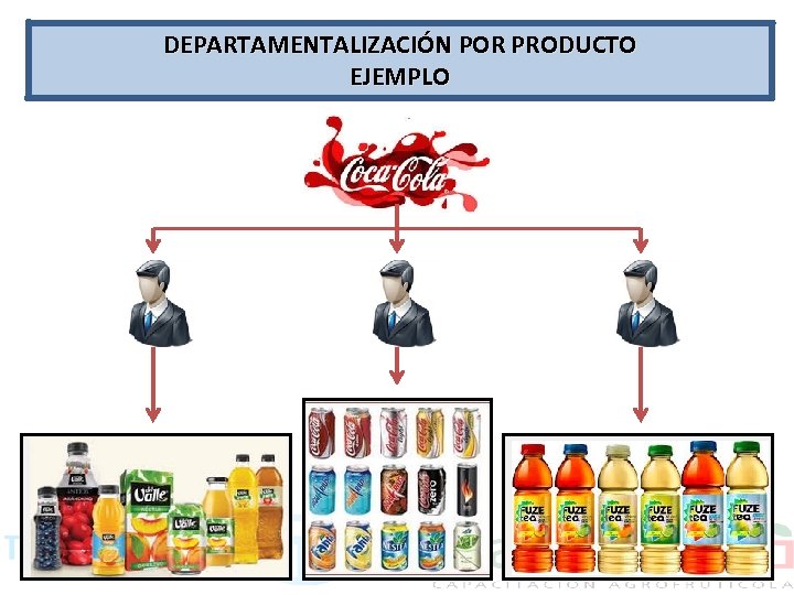 DEPARTAMENTALIZACIÓN POR PRODUCTO EJEMPLO 