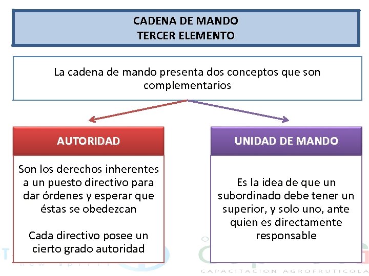 CADENA DE MANDO TERCER ELEMENTO La cadena de mando presenta dos conceptos que son