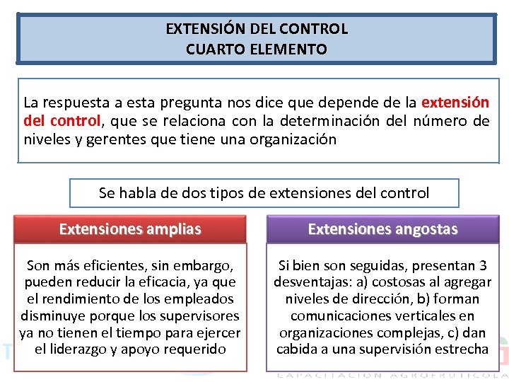 EXTENSIÓN DEL CONTROL CUARTO ELEMENTO La respuesta a esta pregunta nos dice que depende