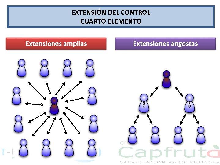 EXTENSIÓN DEL CONTROL CUARTO ELEMENTO Extensiones amplias Extensiones angostas 