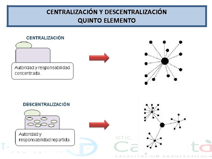 CENTRALIZACIÓN Y DESCENTRALIZACIÓN QUINTO ELEMENTO 