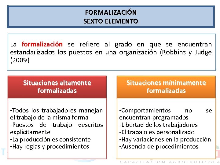 FORMALIZACIÓN SEXTO ELEMENTO La formalización se refiere al grado en que se encuentran estandarizados