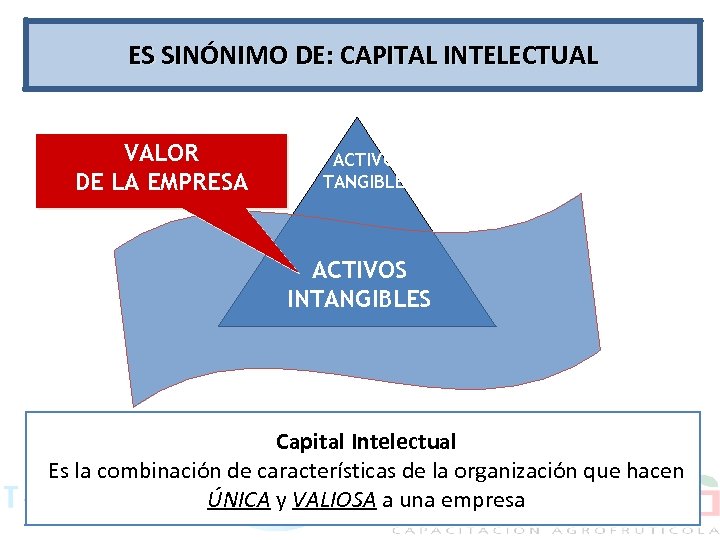 ES SINÓNIMO DE: CAPITAL INTELECTUAL VALOR DE LA EMPRESA ACTIVOS TANGIBLES ACTIVOS INTANGIBLES Capital