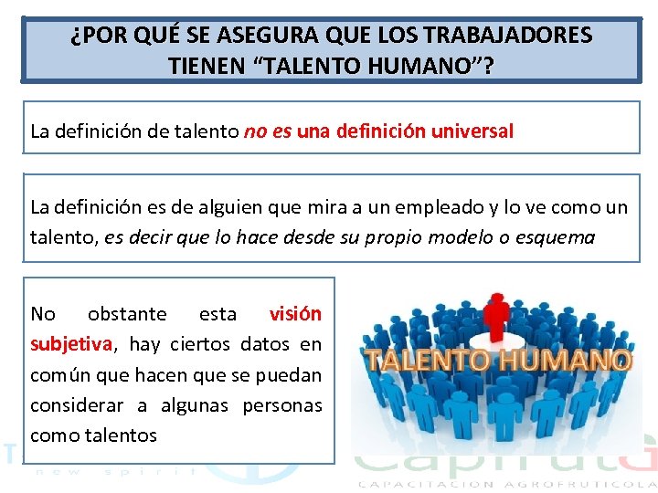 ¿POR QUÉ SE ASEGURA QUE LOS TRABAJADORES TIENEN “TALENTO HUMANO”? La definición de talento