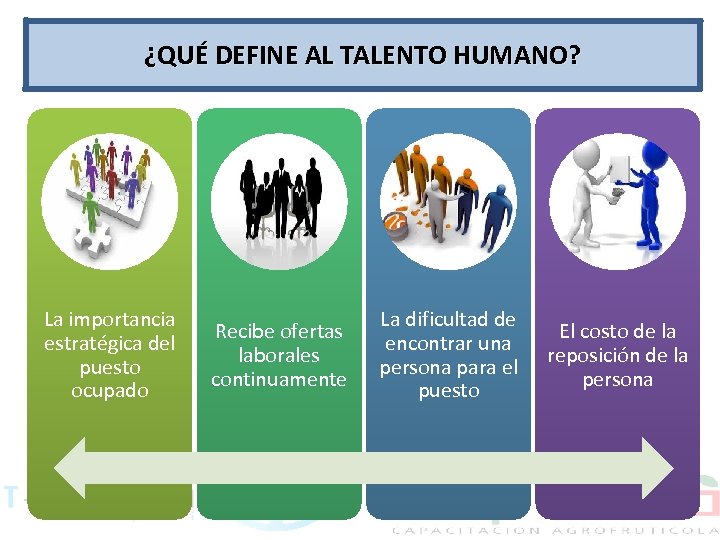 ¿QUÉ DEFINE AL TALENTO HUMANO? La importancia estratégica del puesto ocupado Recibe ofertas laborales