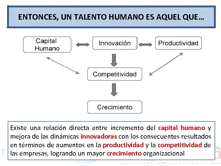 ENTONCES, UN TALENTO HUMANO ES AQUEL QUE… Existe una relación directa entre incremento del