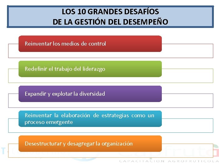 LOS 10 GRANDES DESAFÍOS DE LA GESTIÓN DEL DESEMPEÑO Reinventar los medios de control