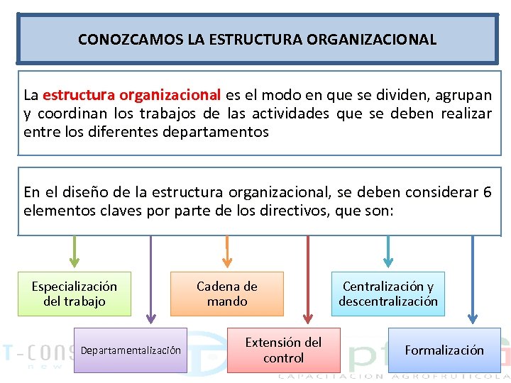 CONOZCAMOS LA ESTRUCTURA ORGANIZACIONAL La estructura organizacional es el modo en que se dividen,