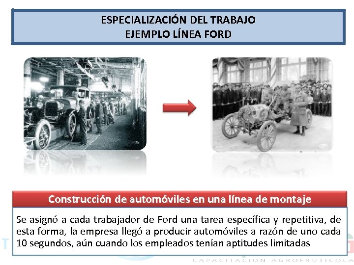 ESPECIALIZACIÓN DEL TRABAJO EJEMPLO LÍNEA FORD Construcción de automóviles en una línea de montaje