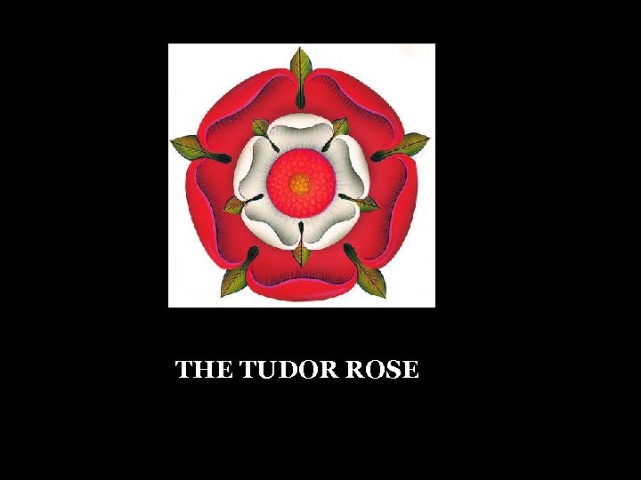 THE TUDOR ROSE 