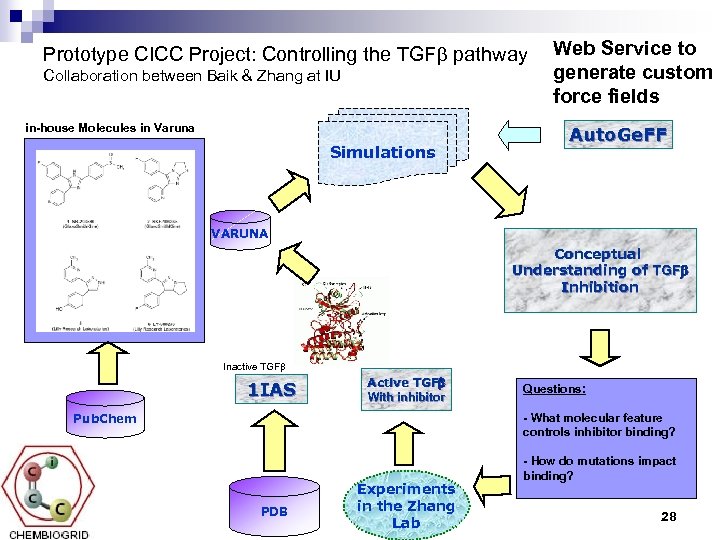 Prototype CICC Project: Controlling the TGFb pathway Collaboration between Baik & Zhang at IU