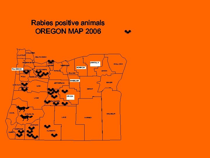 Rabies positive animals OREGON MAP 2006 COLUMBIA CLATSOP MULTNOMAH WASHINGTON TILLAMOOK YAMHILL UMATILLA HOOD