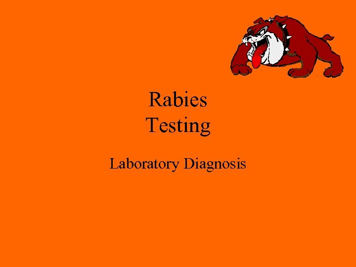 Rabies Testing Laboratory Diagnosis 