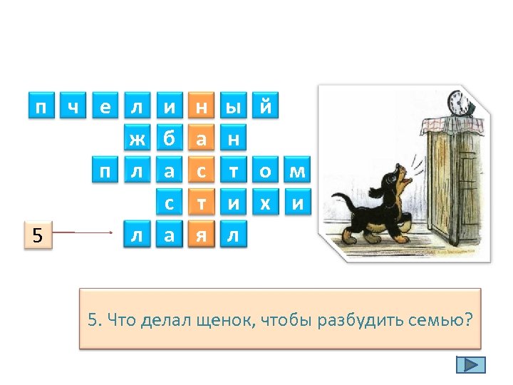 п ч е л и н ы й ж б а н п л