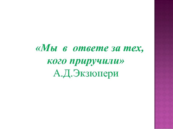  «Мы в ответе за тех, кого приручили» А. Д. Экзюпери 