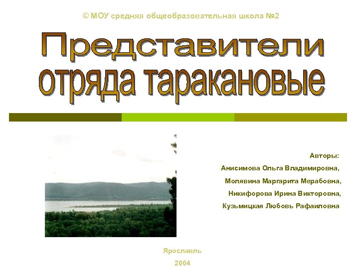 © МОУ средняя общеобразовательная школа № 2 Авторы: Анисимова Ольга Владимировна, Молявина Маргарита Мерабовна,