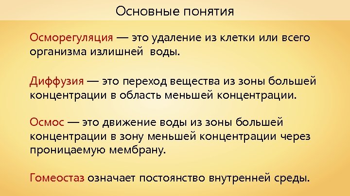 Основные понятия Осморегуляция — это удаление из клетки или всего организма излишней воды. Диффузия