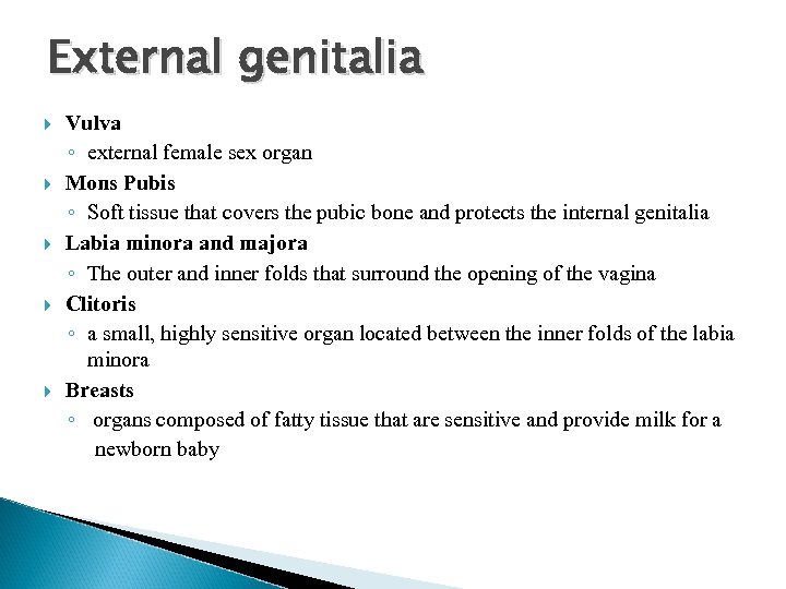 External genitalia Vulva ◦ external female sex organ Mons Pubis ◦ Soft tissue that