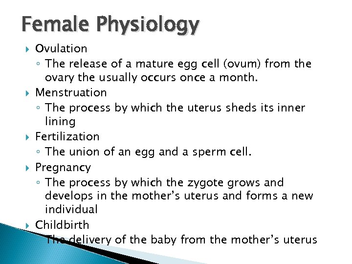 Female Physiology Ovulation ◦ The release of a mature egg cell (ovum) from the