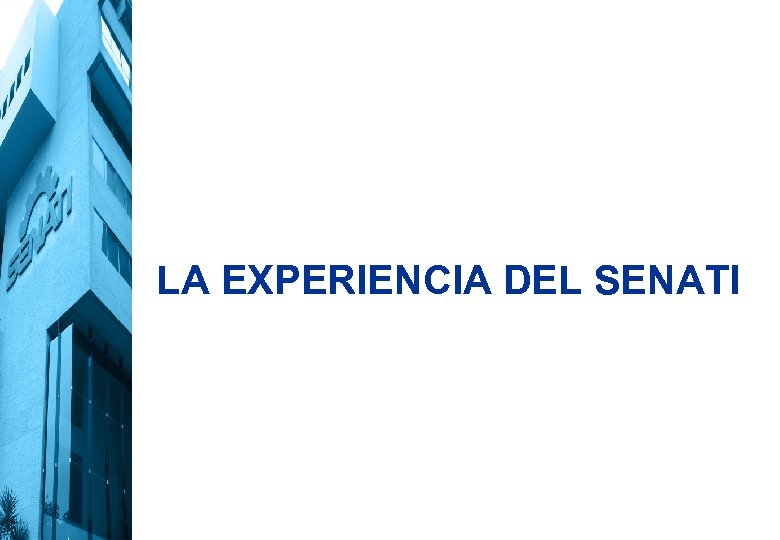 LA EXPERIENCIA DEL SENATI 