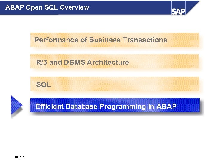 ABAP Open SQL Overview Performance of Business Transactions R/3 and DBMS Architecture SQL Efficient
