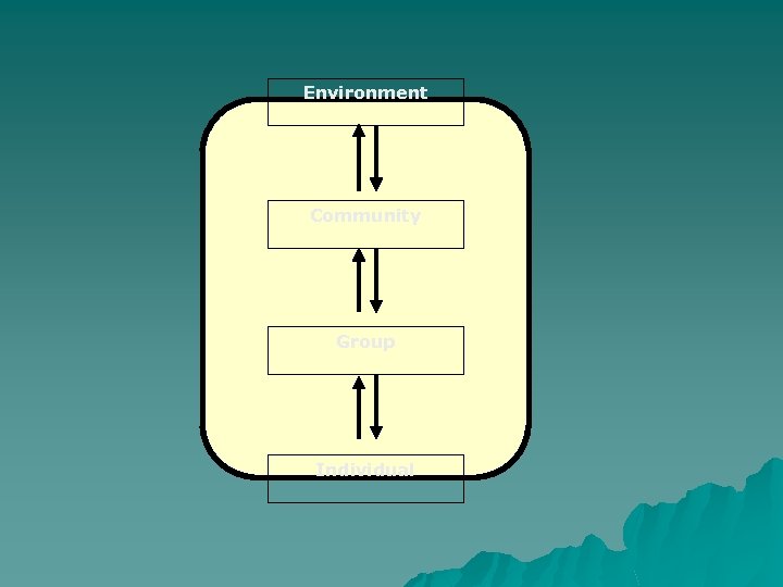 Environment Community Group Individual 