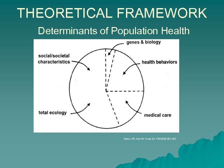 THEORETICAL FRAMEWORK Determinants of Population Health Tarlov AR. Ann NY Acad Sci 1999; 896: